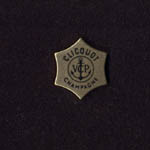 Pin's